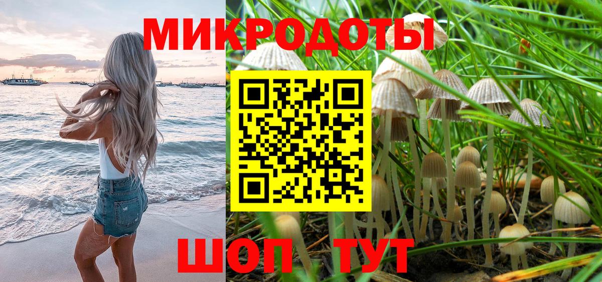 Галлюциногенные грибы прущие грибы Славгород