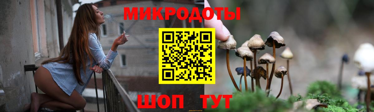 Славгород  Галлюциногенные грибы мицелий  Вход с VPN 